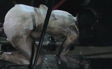 Extreme Freak Bdsm Cleaning Humiliation!