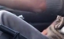 Blowjob In The Car