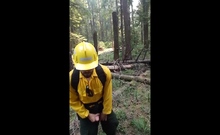 Real Wildfire Worker