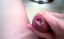 Shaved cock POV handjob until cum