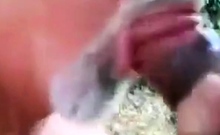 Je suce une grosse bite - partouze gay en plein air avec un