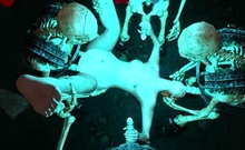 Ellie X Ancient Skeleton Fivesome