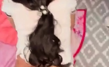 Amateur Hardcore POV
