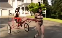 That pony has one fine set of tits