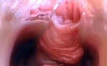 Webcam Pussy Play with Speculum